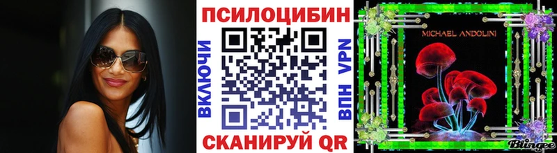 Галлюциногенные грибы GOLDEN TEACHER  Купить закладки  Новый Уренгой 